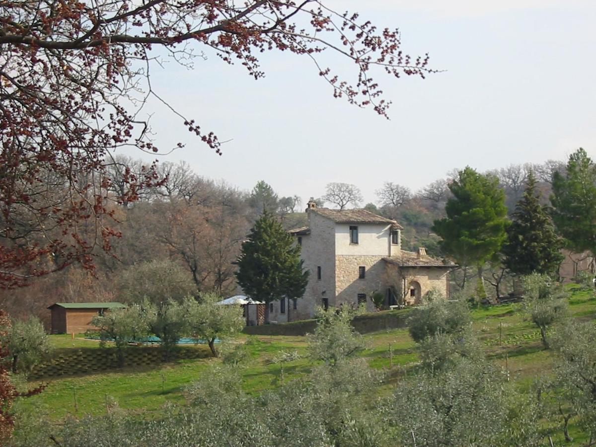 Girasole - Agriturismo Fogliani Giano dell'Umbria ภายนอก รูปภาพ